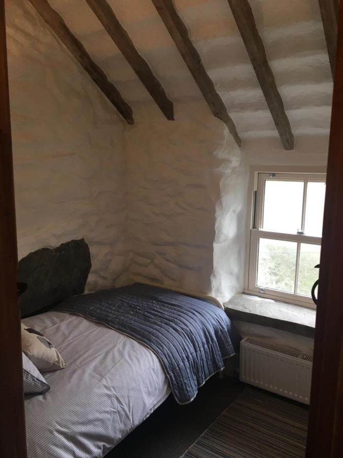 לאנבדר Gellibant Cottage מראה חיצוני תמונה